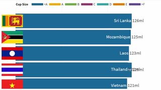 Biggest Average Women Breast Size by Country