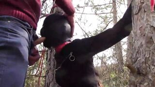 Tied to a tree, masked and outdoor deepthroat with no mercy