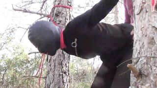 Tied up to a tree outdoor on sexy clothes and hard fucked