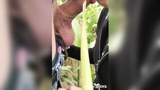 REBECCA MINX PUBLIC - I Milked him Dry in the Corn Field and I Swallowed his Warm CUM !