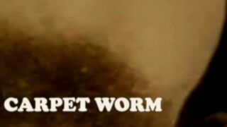 CARPET WORM