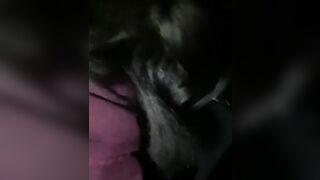 LOUD SLURPING BLOWJOB IN THE CAR ( Dark ) @IControlThroats Twitter