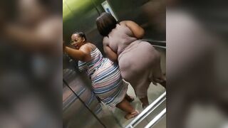 Bbw twerking