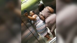 Bbw twerking