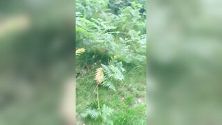 Pam &Ed Dirtiest Devon Amateurs Slut public outside outdoors doggy style massive swinging natural tits woods fuck pussy