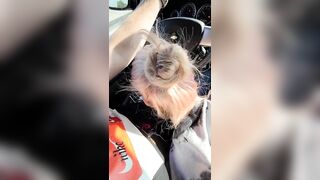 Hot Blonde gives BF the best head bobbin' Roadhead