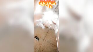 Sri lankan shetyyy bathing new video 18