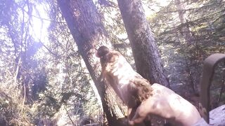 Suck and Fuck in the woods Maze Fields bends over Cum on ass slow mo