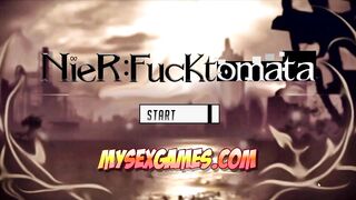 Nier Automata (HD/FPS)