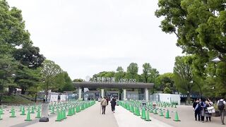 【ノーブラ散歩】上野動物園にいったら…【ちくぽっち】