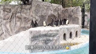 【ノーブラ散歩】上野動物園にいったら…【ちくぽっち】