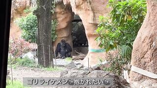 【ノーブラ散歩】上野動物園にいったら…【ちくぽっち】